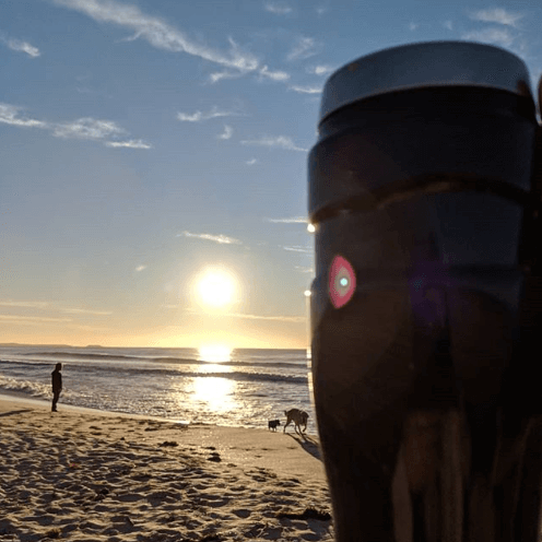 shot of a thermos coffee mug mentioned in eco-friendly freelancing article. It is used at a dog beach overlooking sand and waves in Wollongong. There is a man and two dogs in the distance, coffee cup in the foreground