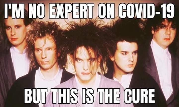 Meme made from a photo of the cure that reads I am not expert on coronavirus but this is the cure to demonstrate freelancers survive coronavirus article