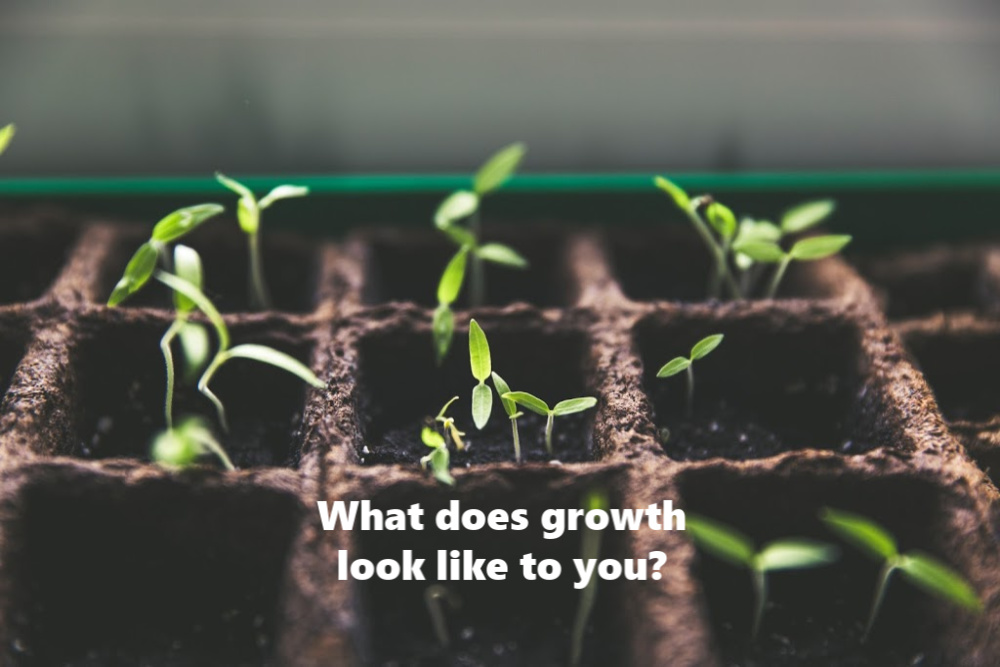 Leafy green shoots come out of the ground- the words what does freelance growth look like to you? is super imposed over the top in white