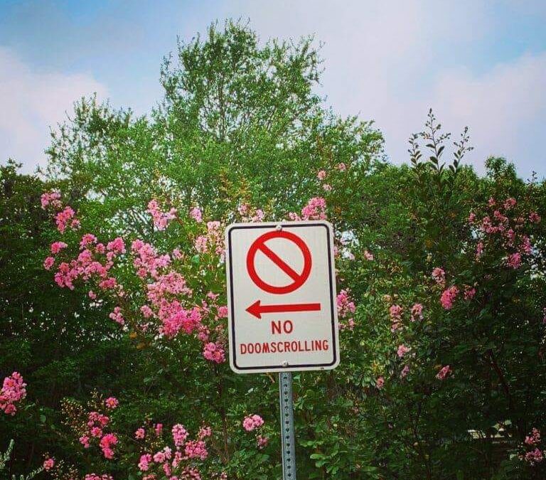a road sign with the red circle with a line ban symbol and a red arrow is in front of a bush with flowers reads no doomscrolling