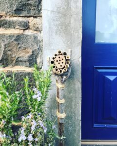 A bee hotel leans against a wall next to a blue front door. It has been made by freelance makers.