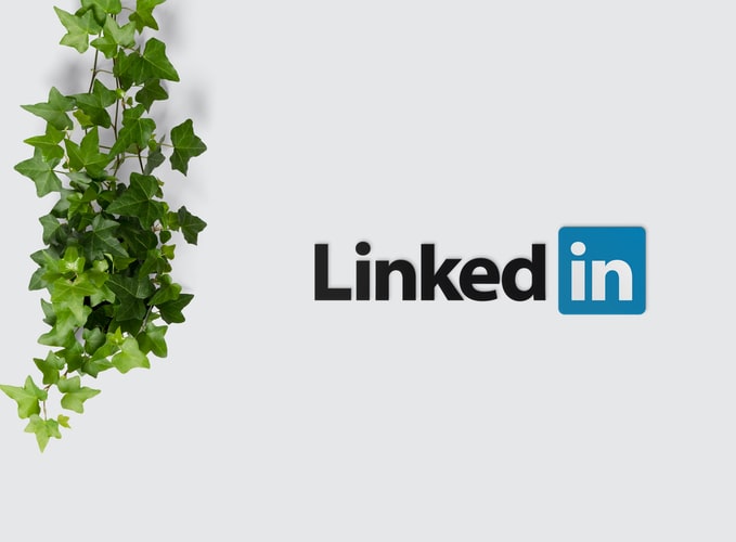 Looking at LinkedIn for freelancers by showing plastic ivy next to a sign on the wall that reads LinkedIn