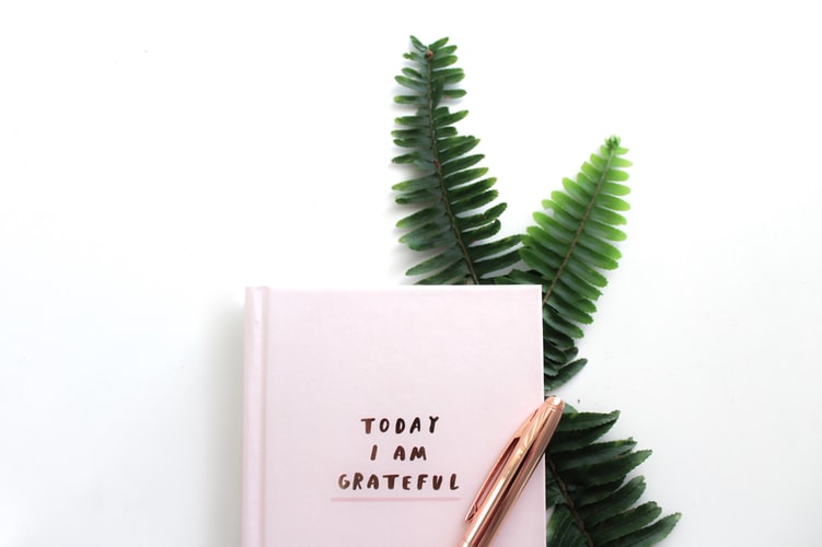 A gratitude journal reads "today I am grateful" in brushtip font on a white journal that is sitting on fern fronds to celebrate being grateful for a client.