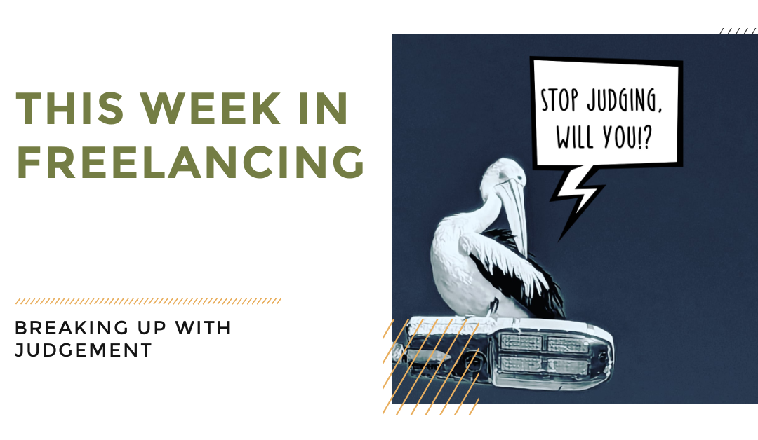 BANNER READS breaking up with judgement and a pelican says "stop judging, will you"