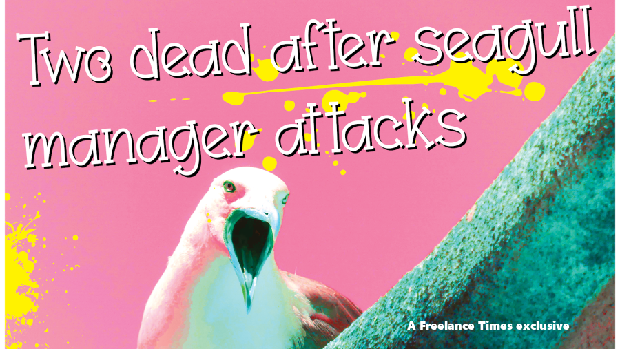 Two dead after seagull manager attacks next to seagull on pink background